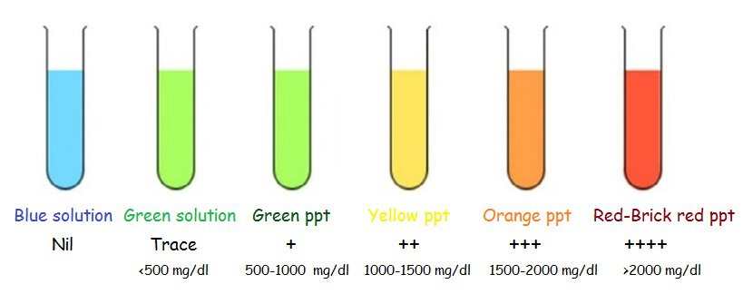 Benedict's Test Principle, Reagent Preparation, Procedure and