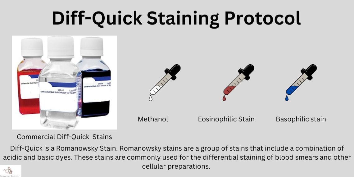 DiffQuik staining procedure, principle, and results