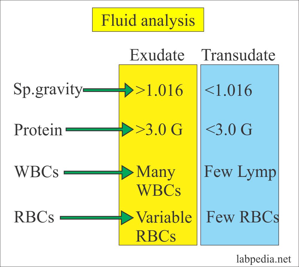 Fluid Analysis Part 2 Various fluids Analysis, Transudate and