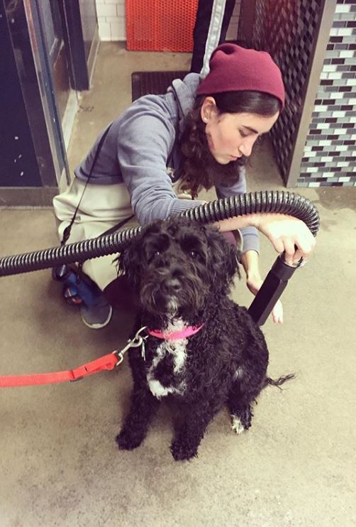 How Do You Bathe A Labradoodle