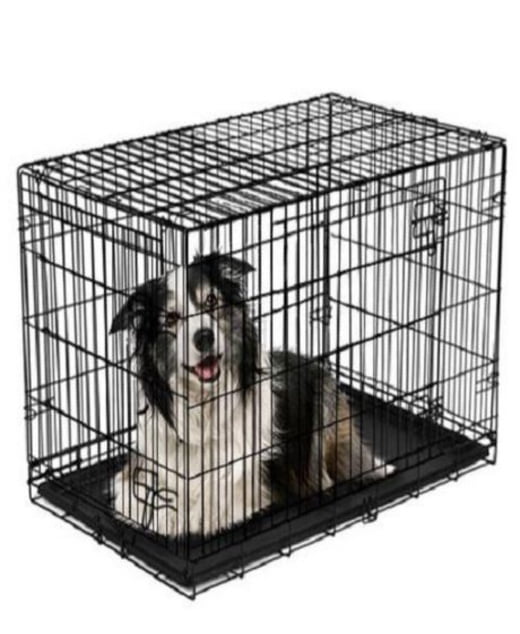 Vibrant Life DoubleDoor Folding Dog Crate with Divider