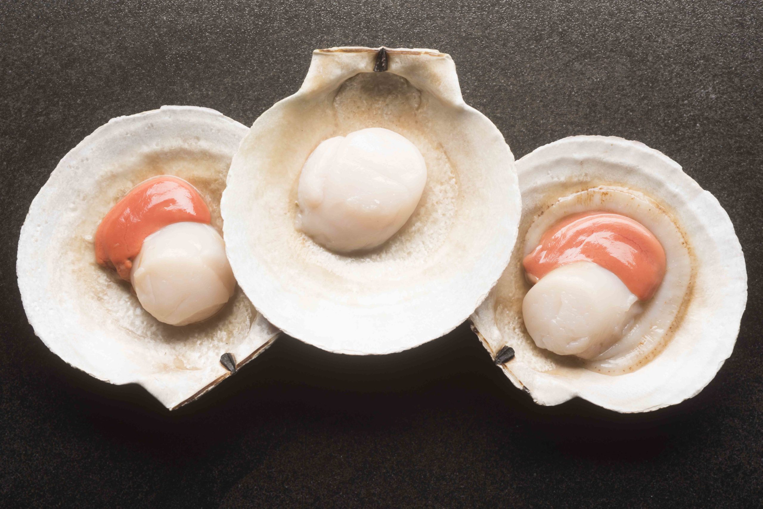 Half Shell Scallop Labrador Gem Seafoods