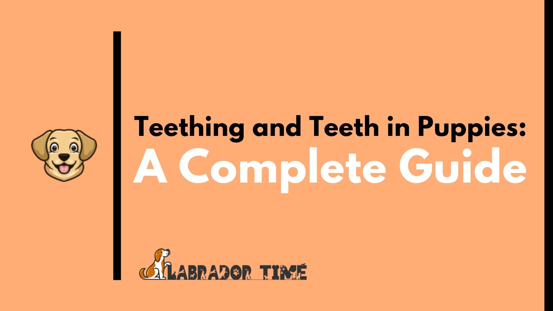 How Long Will Puppy Have Diarrhea When Teething