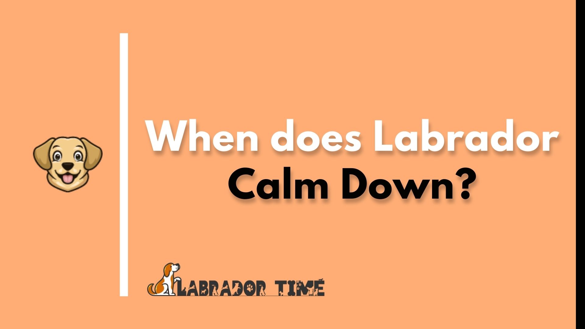 Will My Lab Puppy Ever Calm Down
