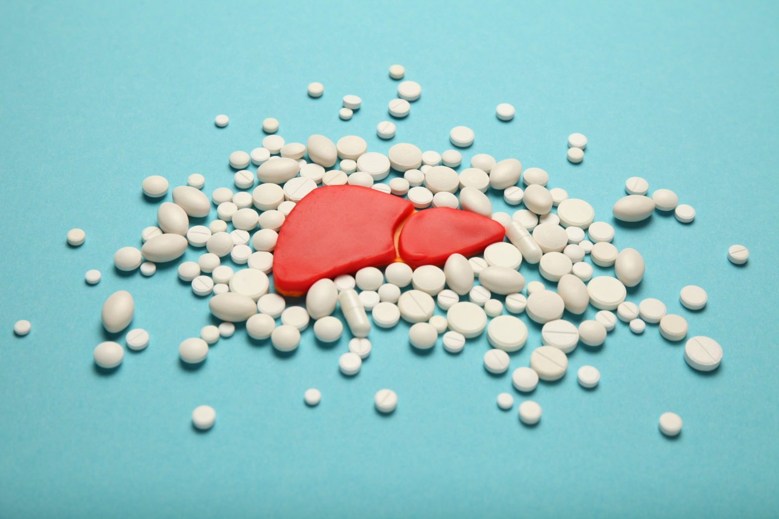 Blood Test Total Protein Normal Range Reference Ranges For Blood Tests Wikipedia