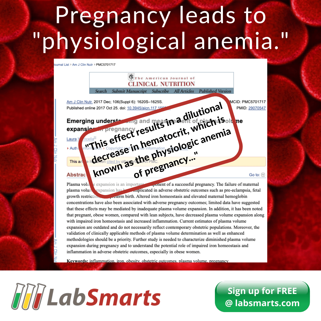 Pregnancy Blood Work What You Need to Know to Help Your Clients