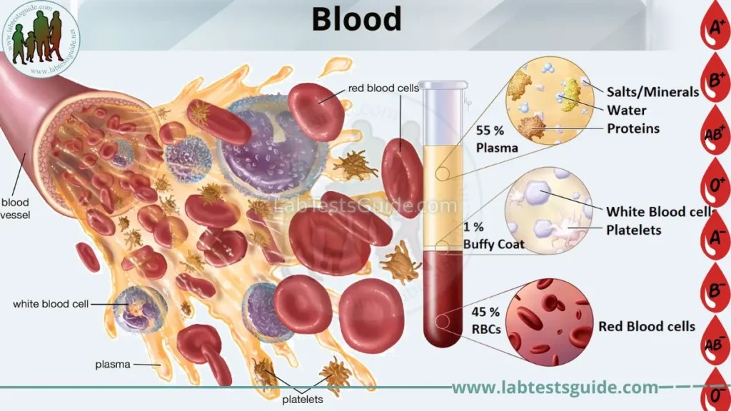 Red Blood Cells White Blood Cells Platelets Three Neglected Numbers In