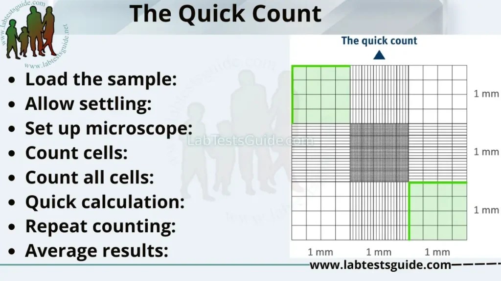 White Blood Cell (WBC's) Count Using Neubauer Chamber, 49 OFF