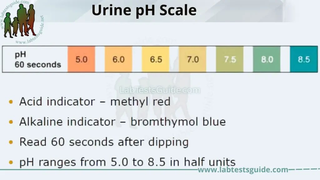 Urine PH (Normal PH Levels, Range, Chart) Causes Of, 51 OFF