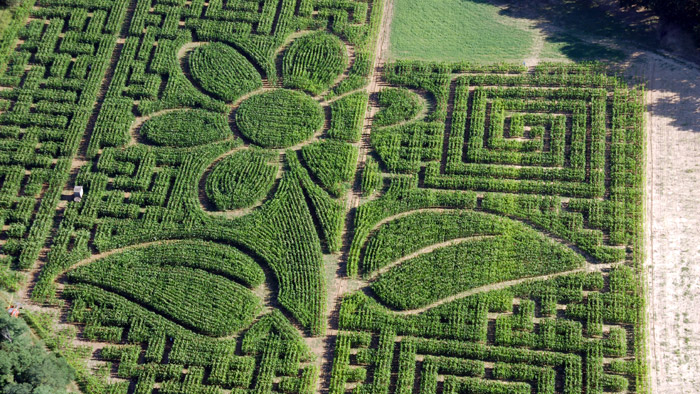 Labyrinthe Végétal L�important c�est pas d�entrer c