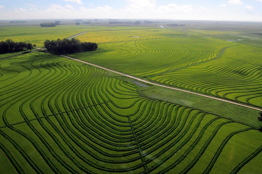 Uruguay Natural Geographic Landscape LAC Geo