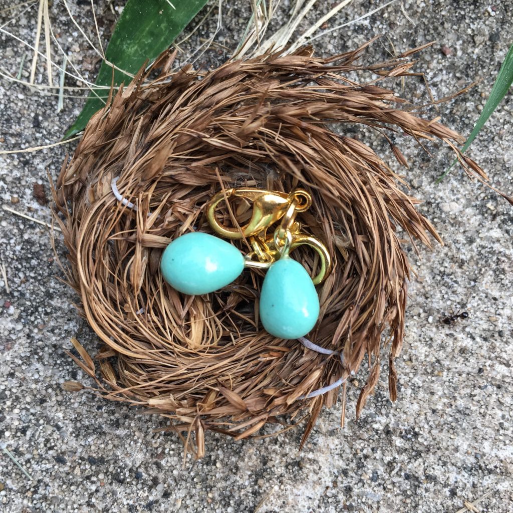 Eastern Bluebird Egg lachandlou