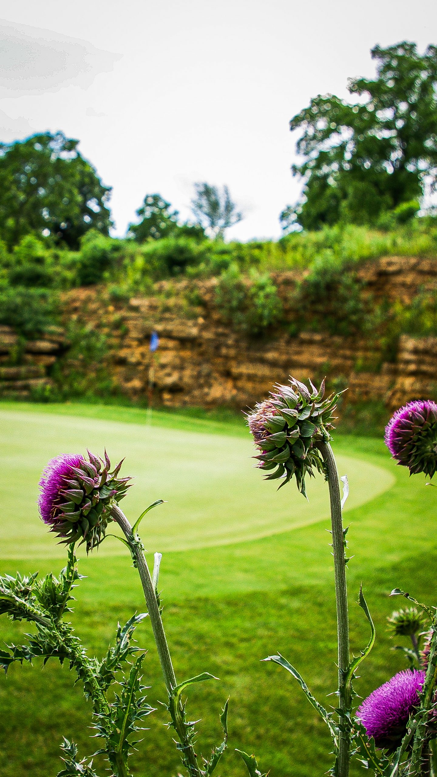 Women's Association Golf Course