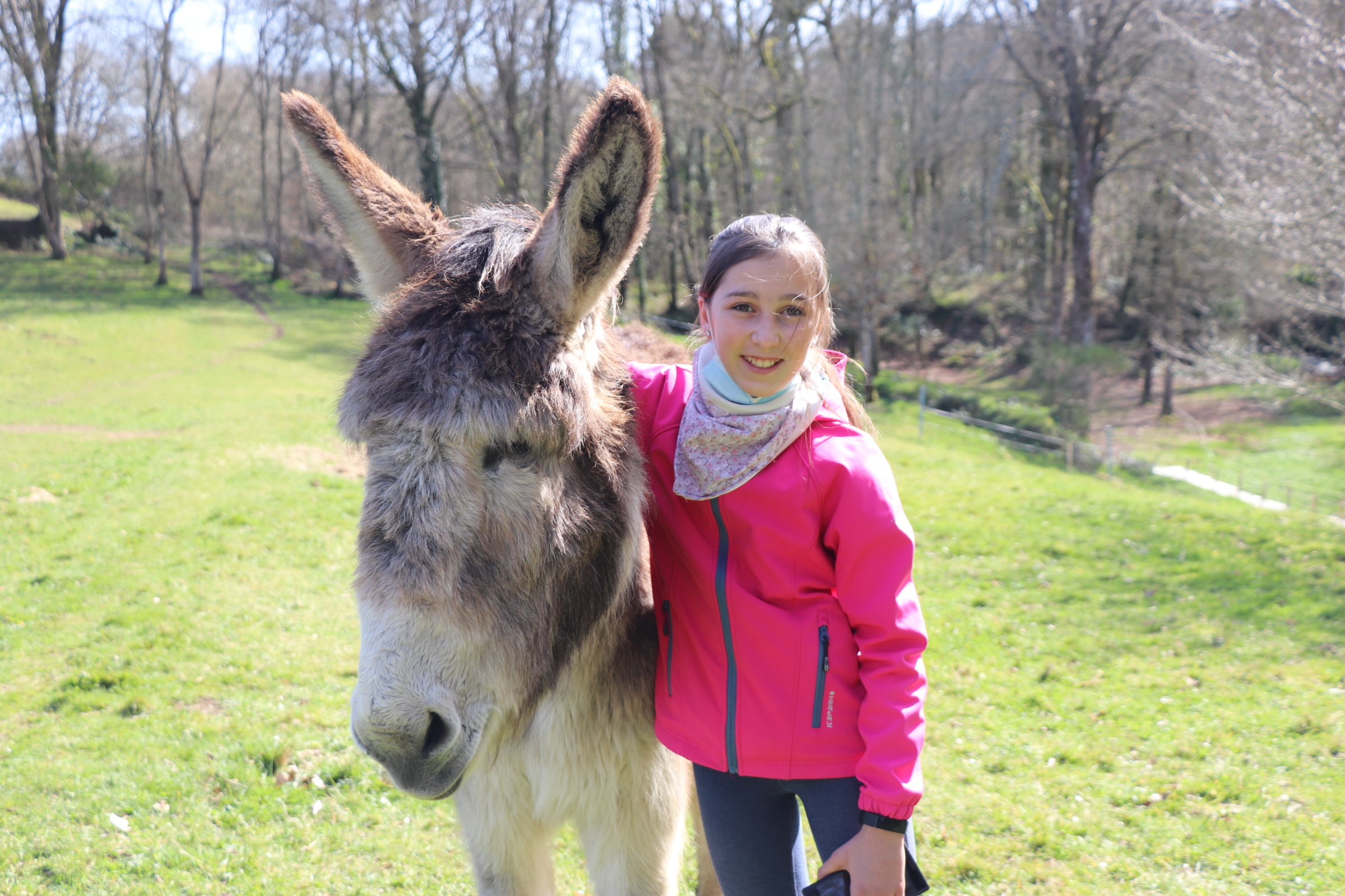 Stage ados Soigneurs animaliers La Combe Aux Ânes Randonnées avec