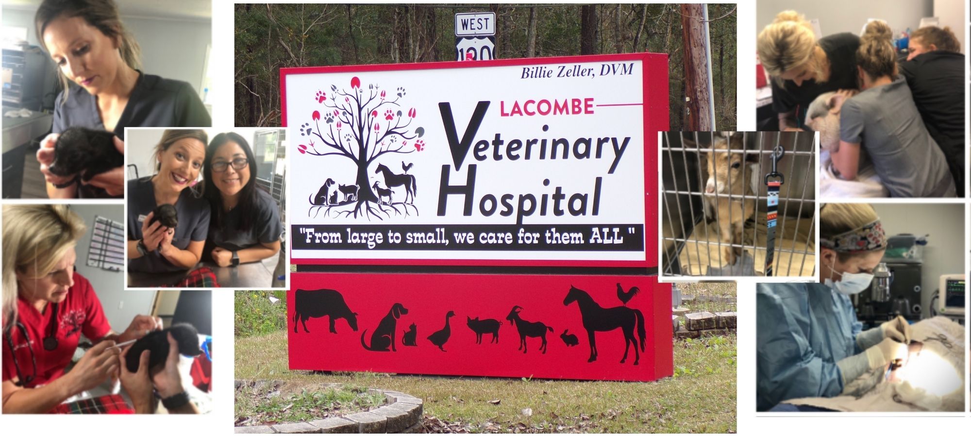 Veterinary Hospital
