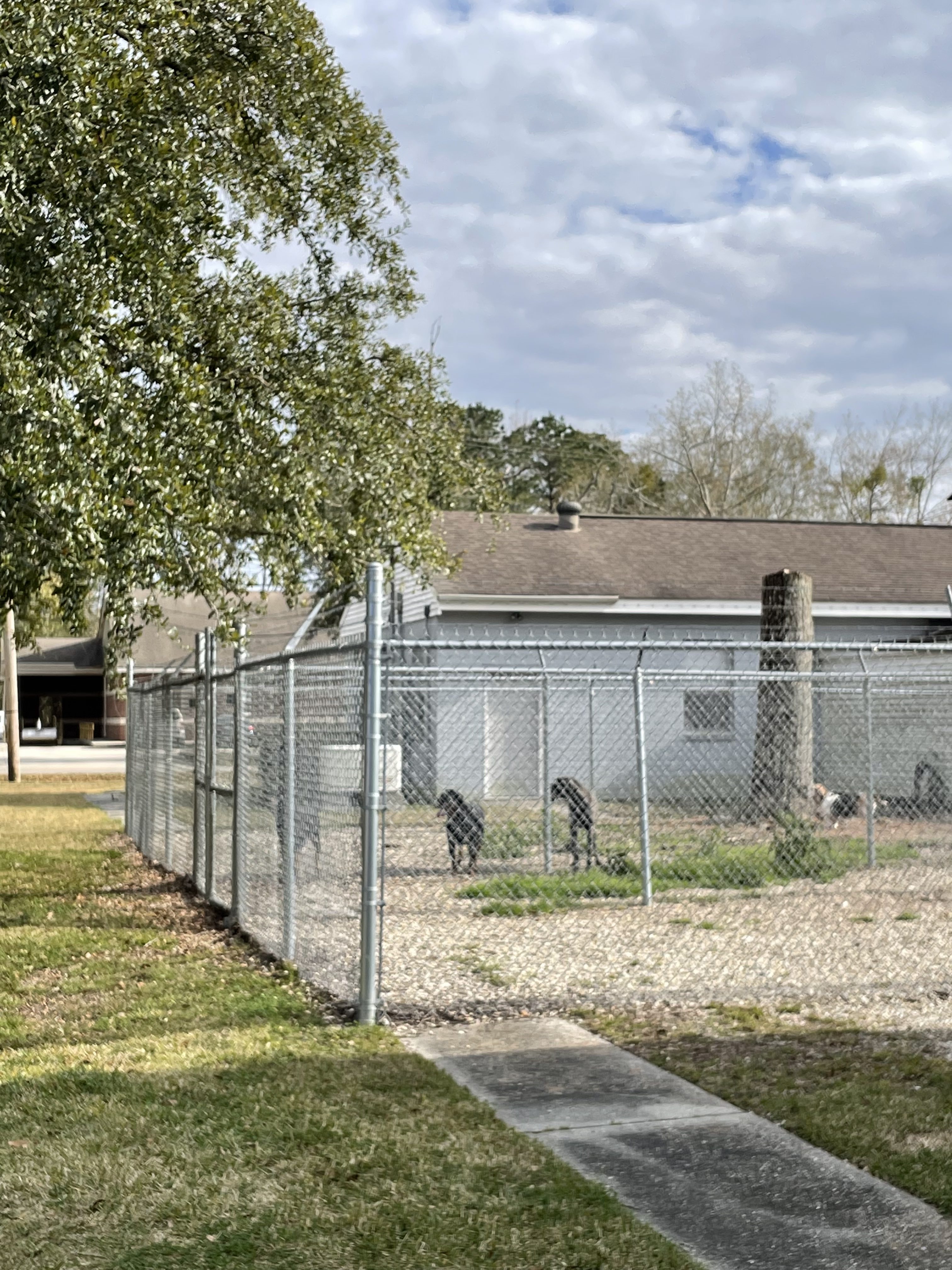 Boarding Veterinary Hospital