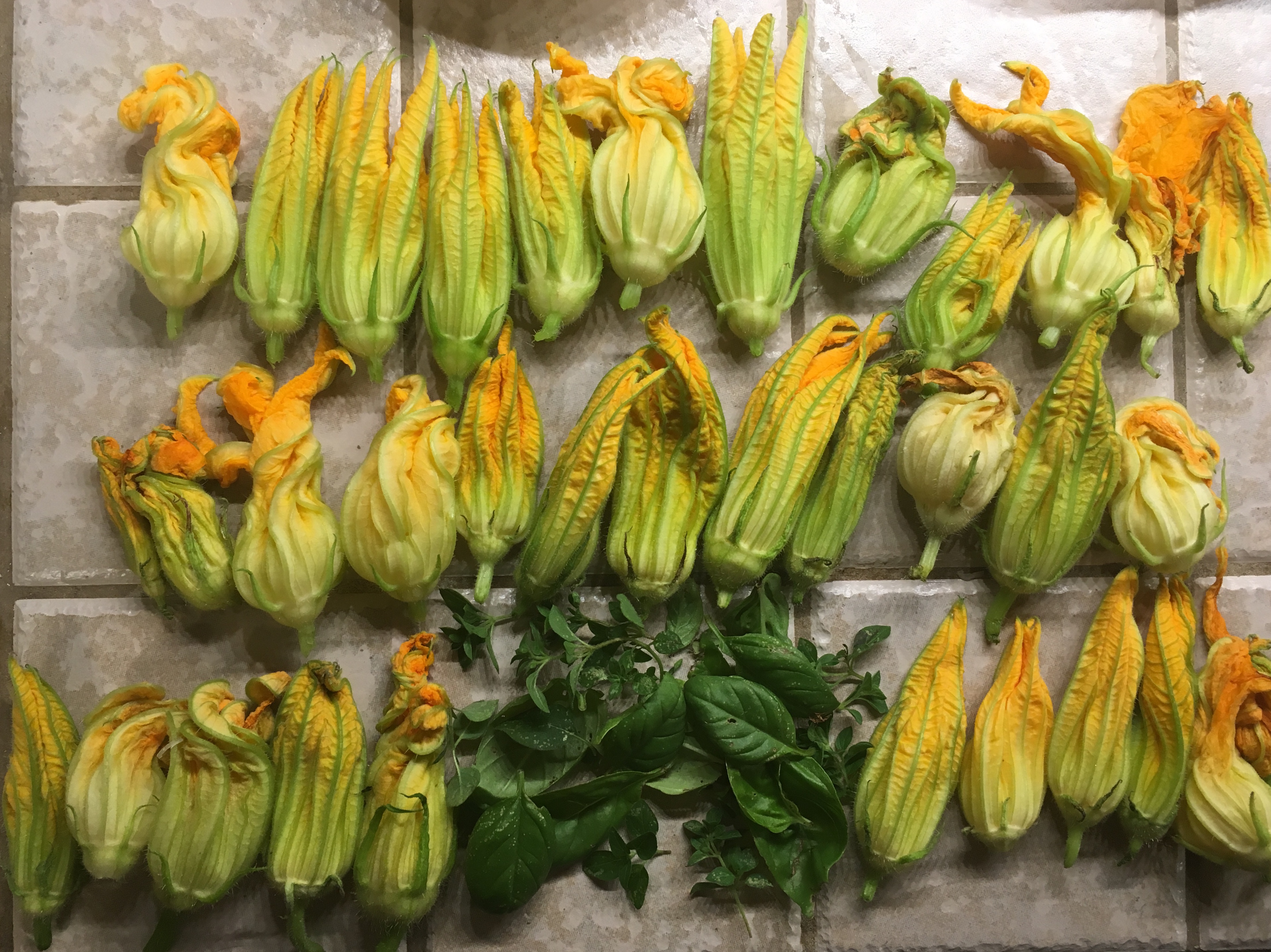 pumpkin blossoms and basil LaConte Consulting