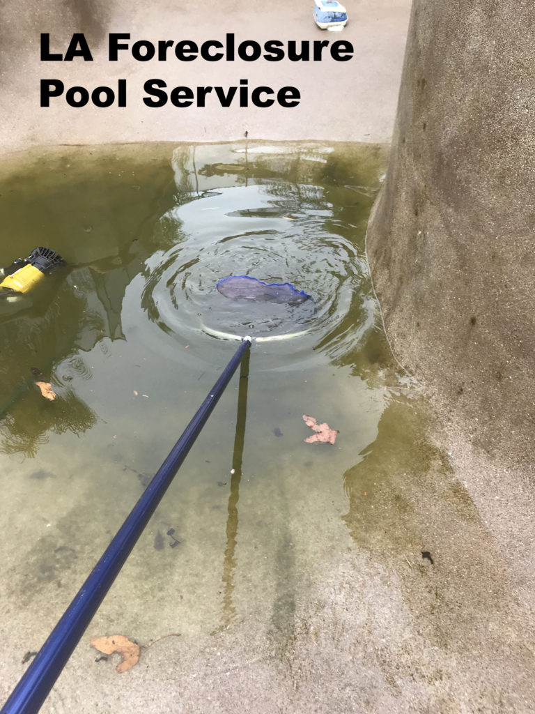how to clear up green cloudy pool water Los Angeles County Property