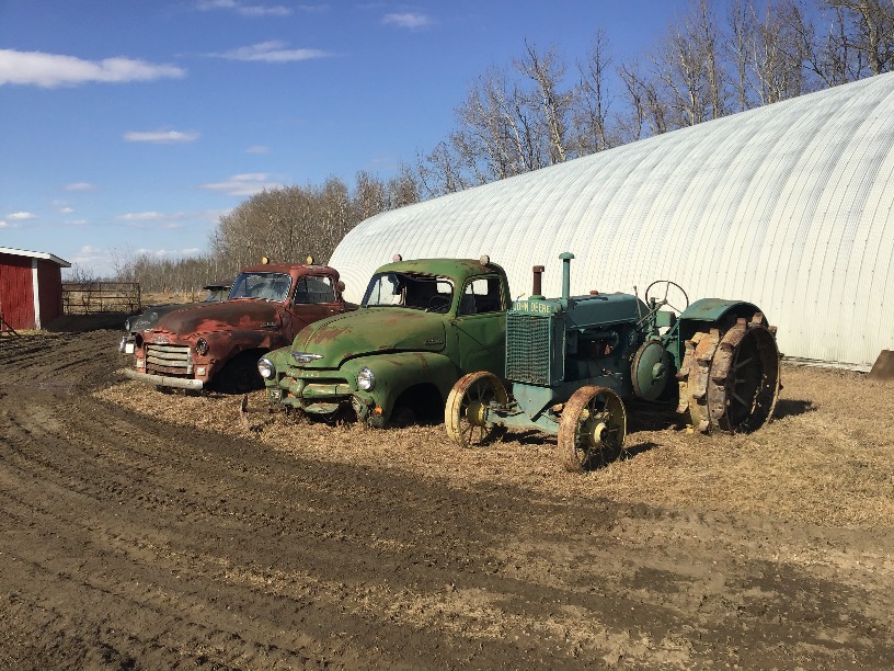 Auctions Archive LA CRETE AUCTION MART