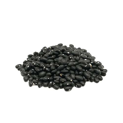 Black Beans All Natural Grown in USA (Dry) Set of 24 Bags