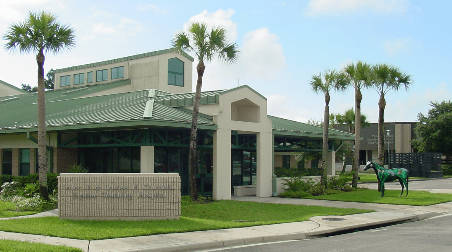 Programs » Large Animal Clinical Sciences » College of Veterinary