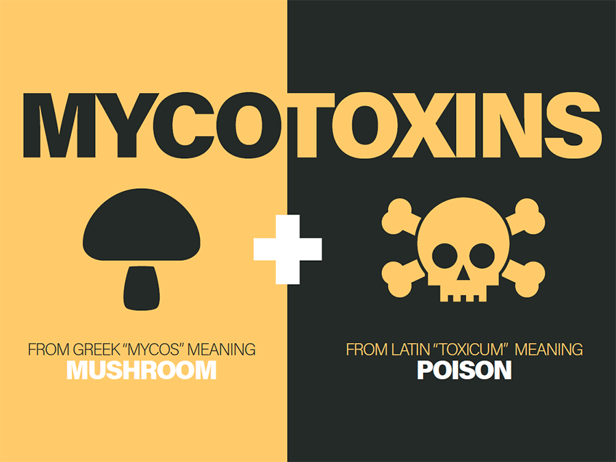 Mycotoxins 101