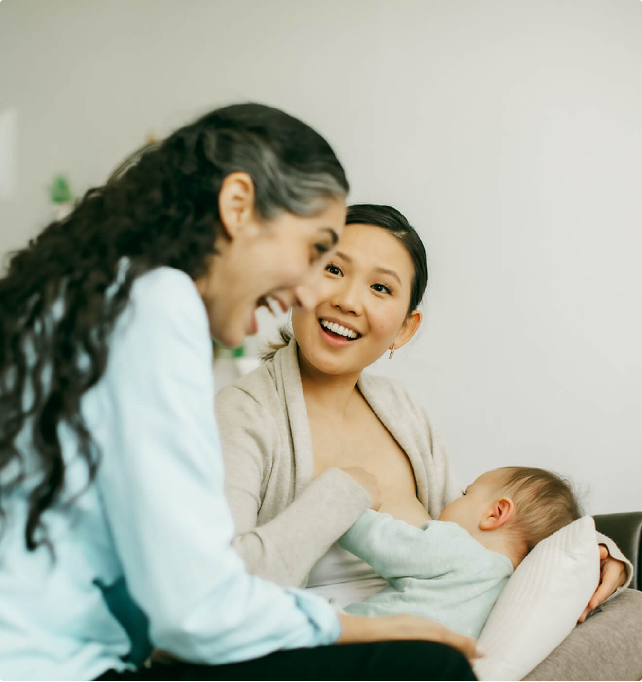 IBCLC OLD Grow Your Practice The Lactation Network