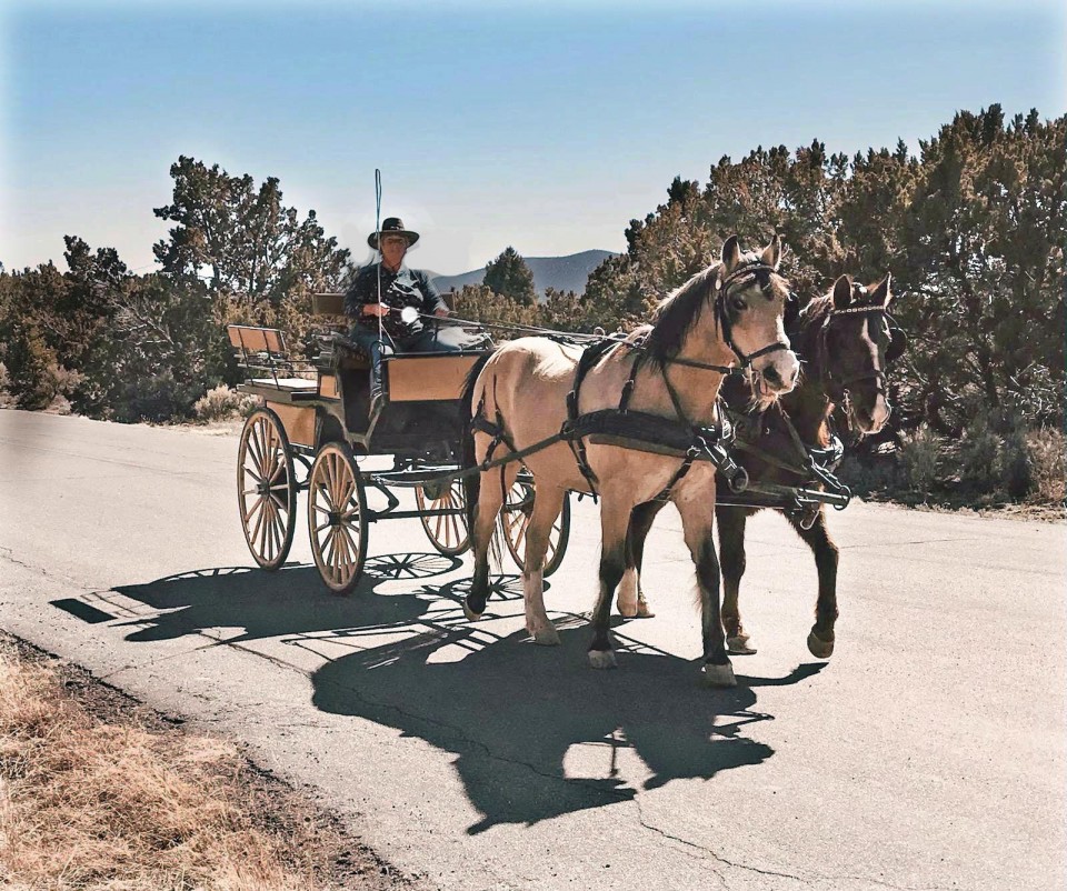 Sunday Morning Buggy Ride In Pajarito Acres