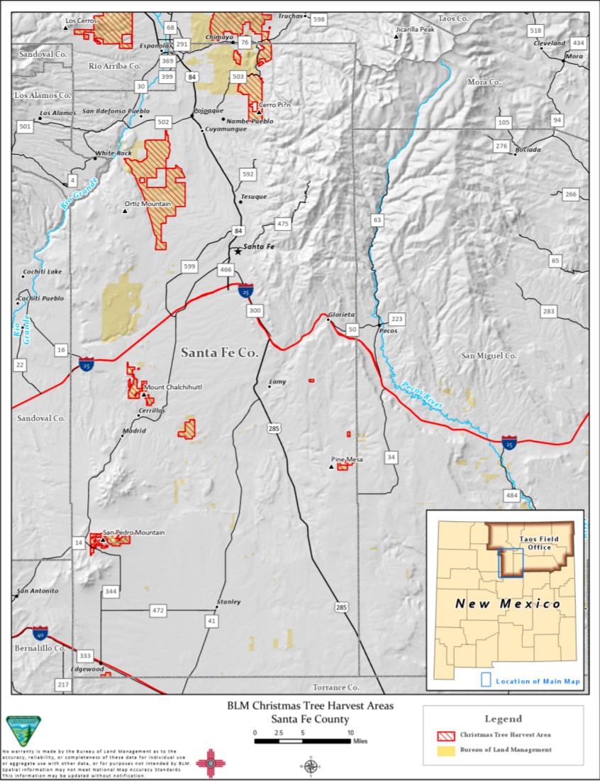 New Mexico BLM Christmas Tree Permits Go On Sale Monday