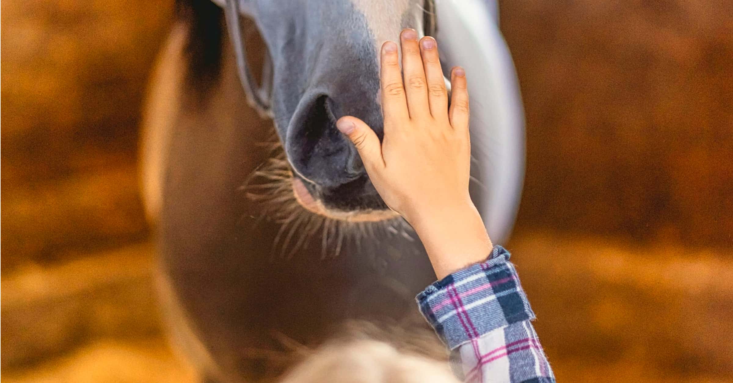 How to create folders in windows 10 castlegagas