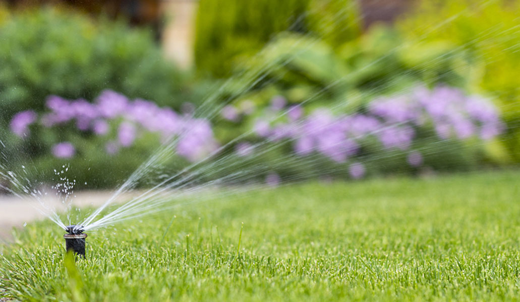 Irrigation Fun Facts Ladera Ranch