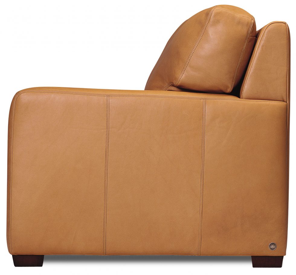 Carson Sofa/Sectional Group LaDiff