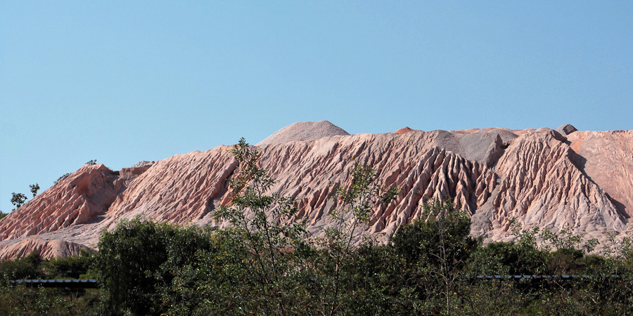 El 70 de los suelos en Puebla están en riesgo de degradación