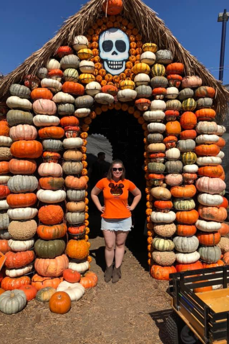 Mr. Bones Pumpkin Patch in West LA LA Dreaming