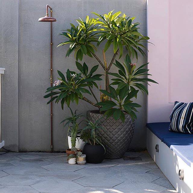 Copper Outdoor Shower Made in NZ Ladybugs