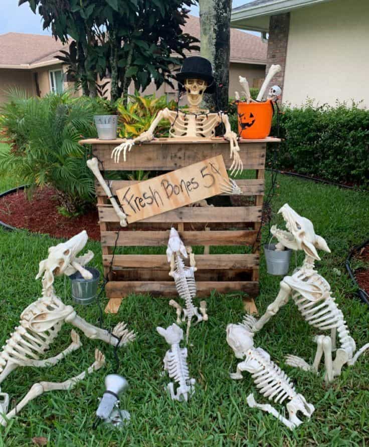 25+ Funny Outdoor Halloween Skeleton Decor!