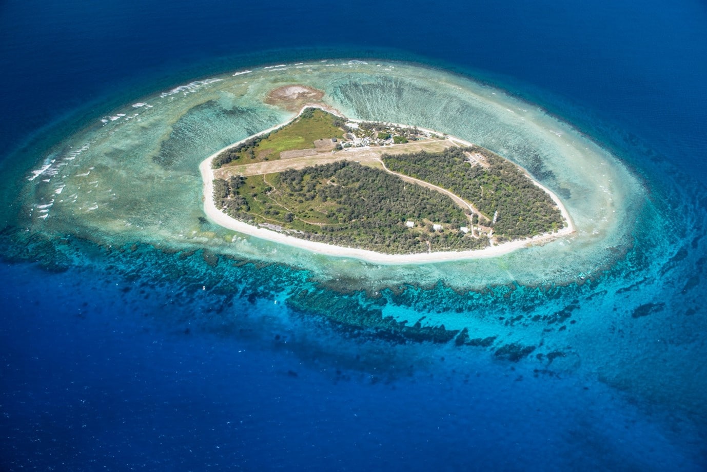 Three things to do on a day trip to Lady Elliot Island Lady Elliot