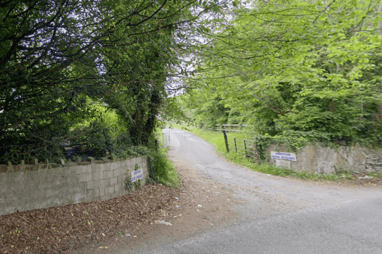 Five Dead Dogs Part of Investigation By Irish National Police At Dublin