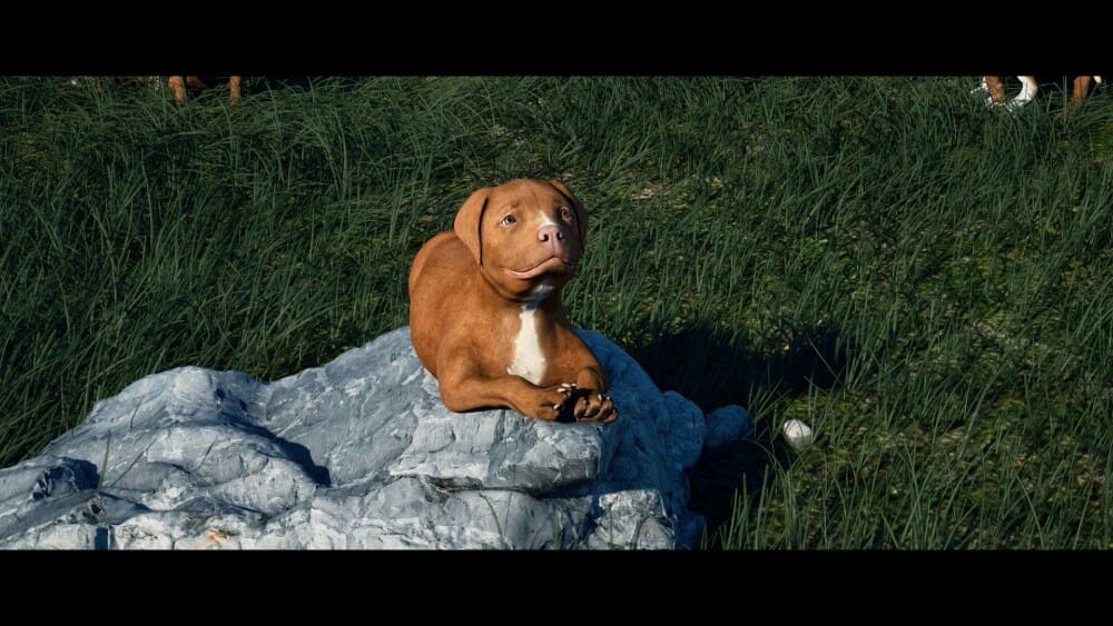 New Film ‘Chance’ Takes A Bold, Animated Look Into the Underground