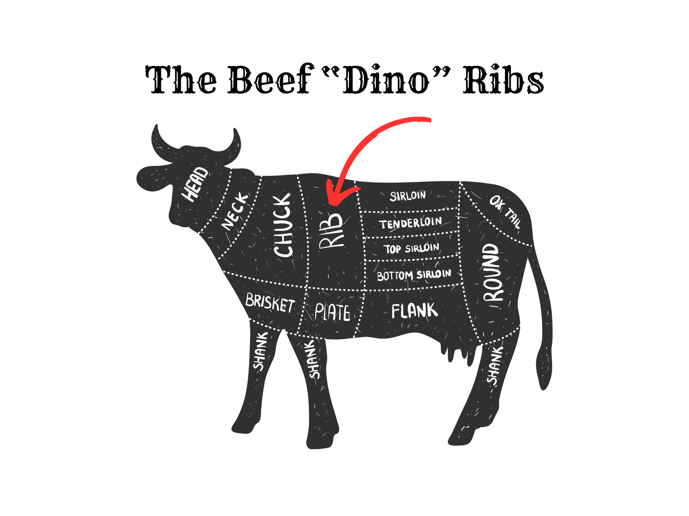 Steak Series Beef Dino Ribs Lady Jaye