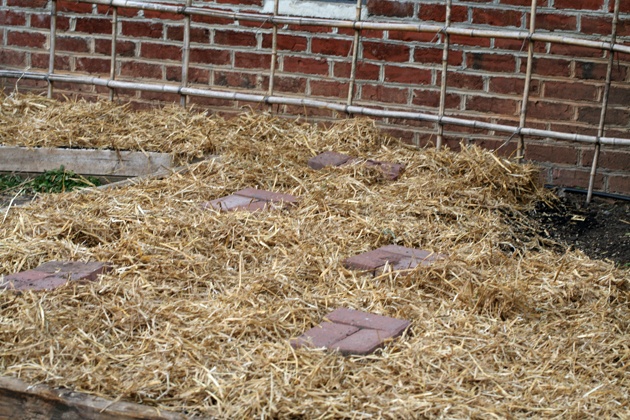 How do you prepare soil to plant grass? Preparing a Garden Bed For Planting Without Tilling | Lady Lee's Home