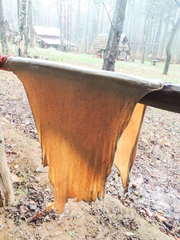 How to Tan a Deer Hide Lady Lee's Home