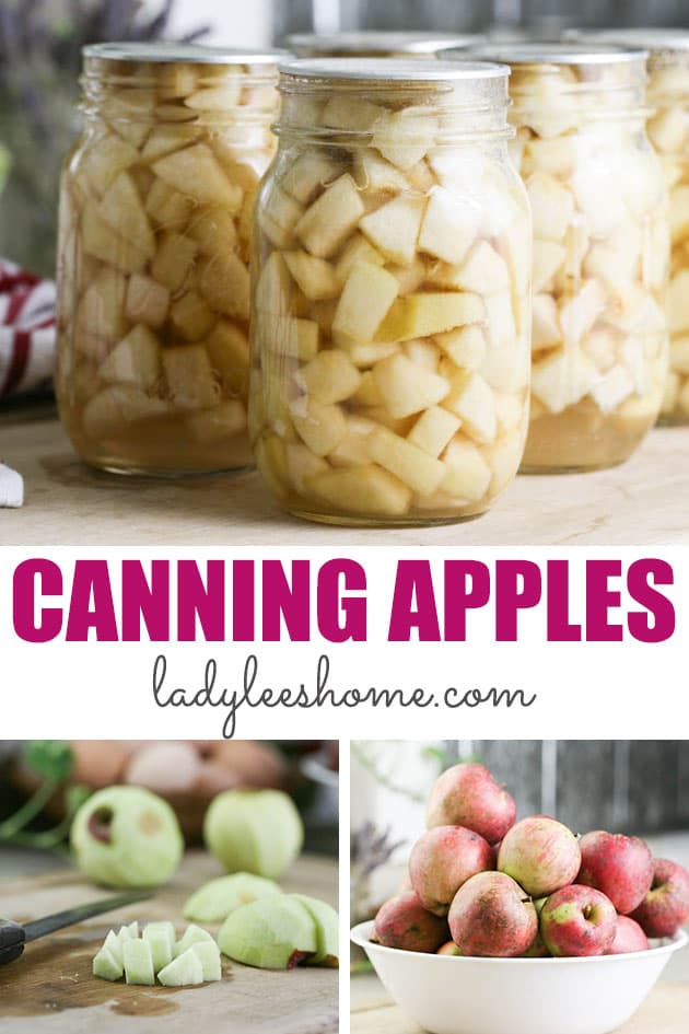 Canning Apples in Light Syrup Lady Lee's Home