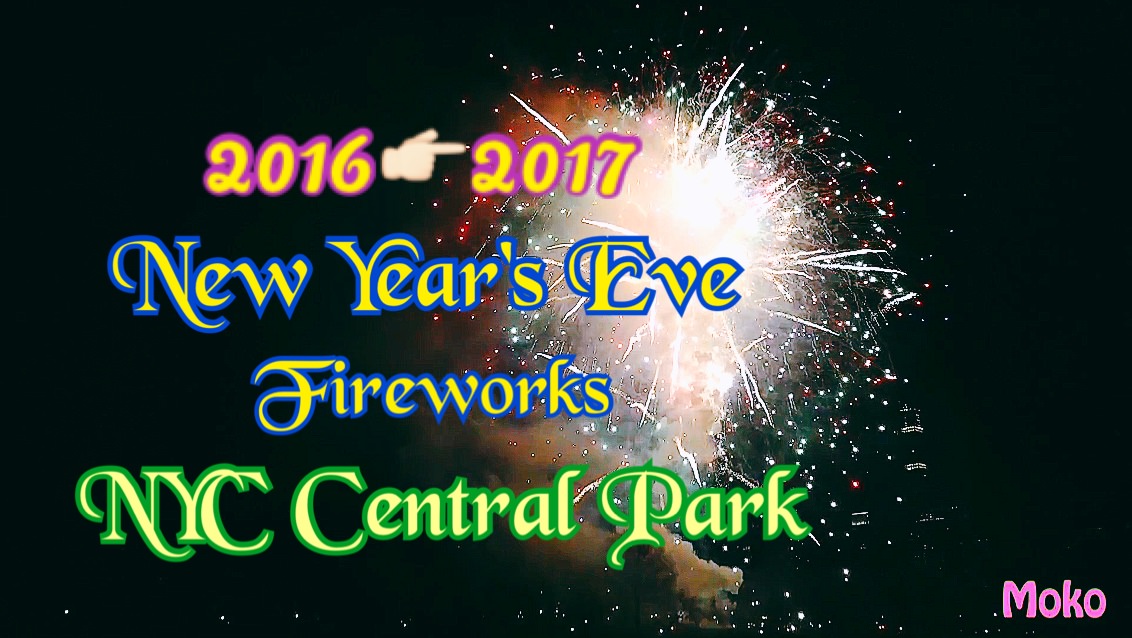 2016紐約中央公園跨年煙火影音♥完全不用人擠人也不用提前卡位/私房無遮蔽物看煙火地點