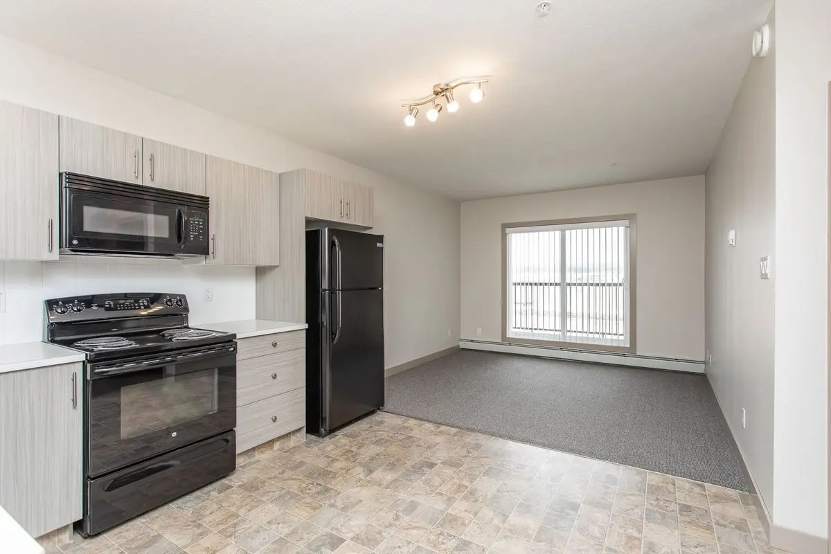 2020 Apartments 1 Bed 1 Bath Laebon Rental Communities