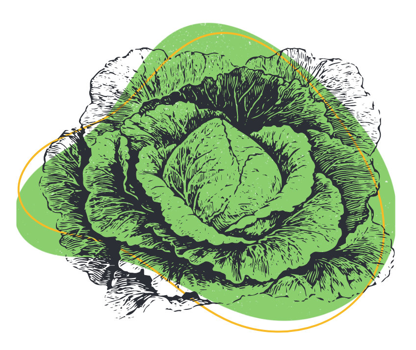 Lafayette Farmer's Market Historic Lafayette Farmer's Market