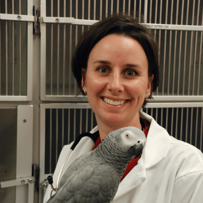 Adjunct Faculty Animal Physiology York College of.