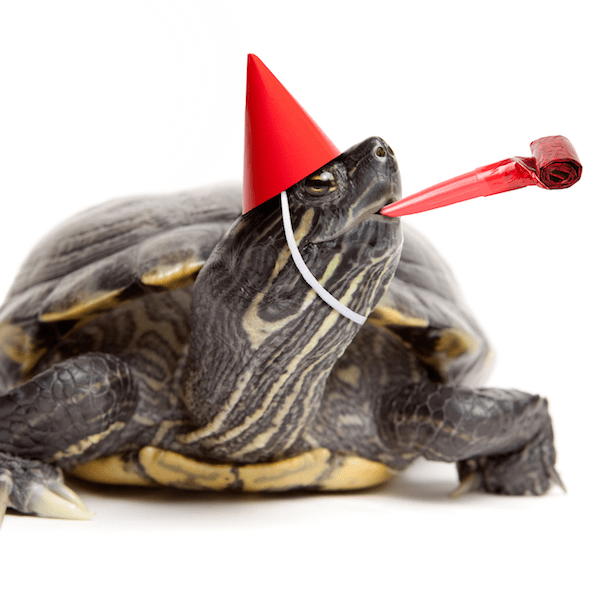 Resolve to Help Herps