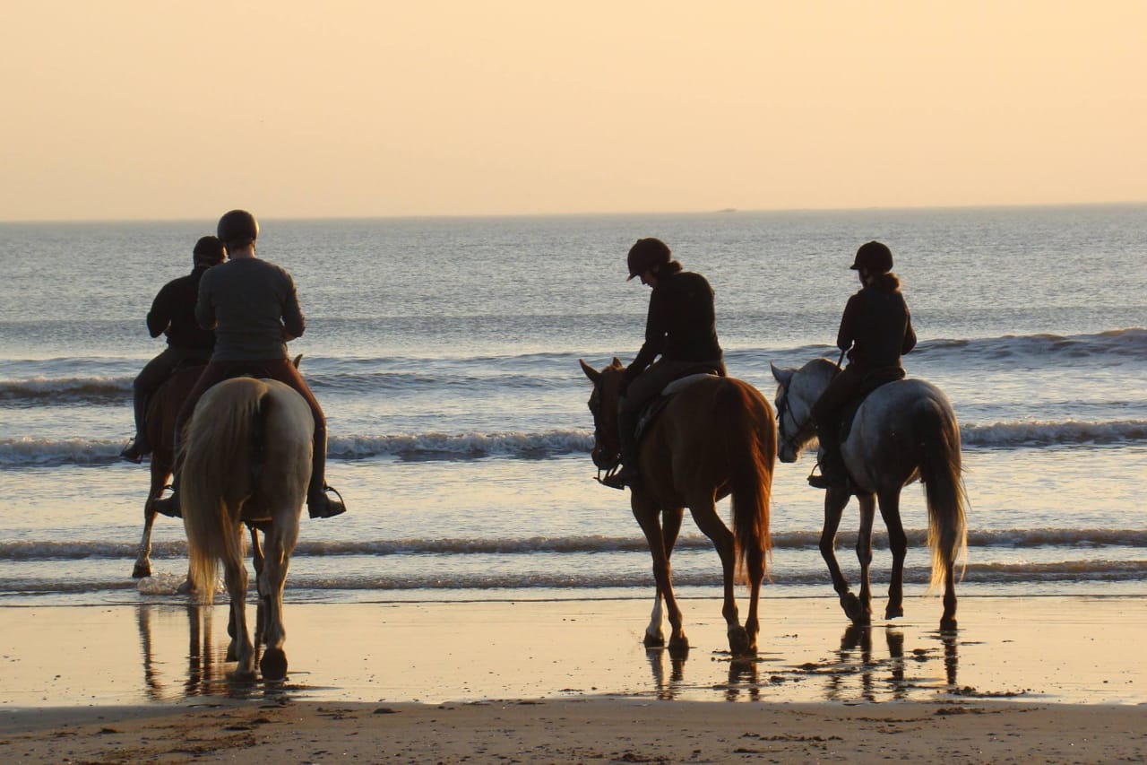 Sortie plage à cheval pour la pleine lune samedi 22 septembre !La Ferme