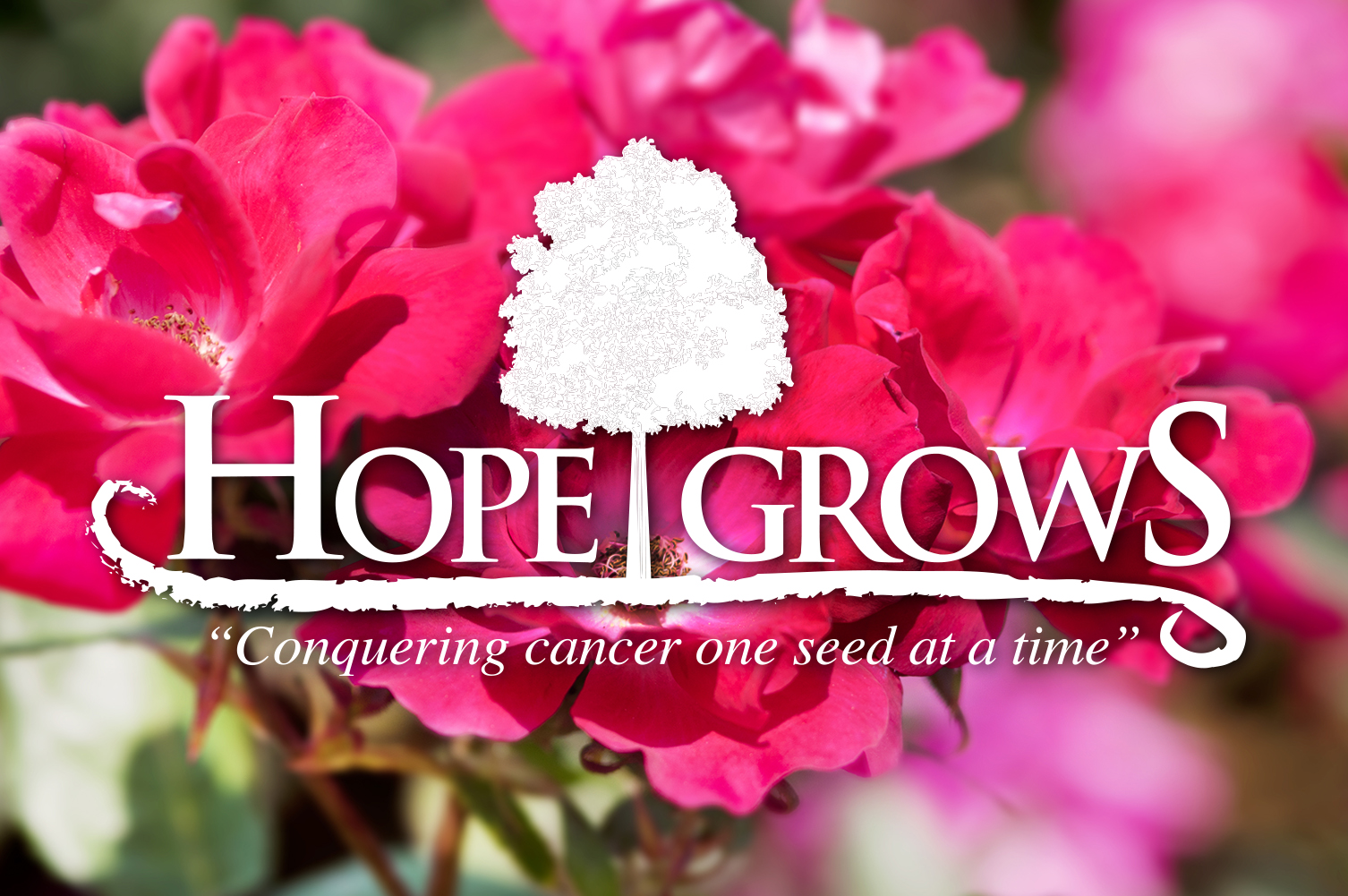 Family Roots LaField Landscape